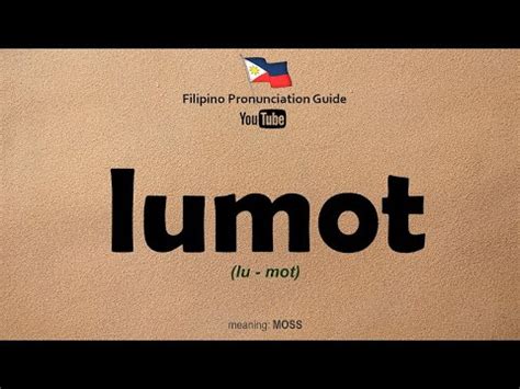 lumot in tagalog|Lumot: monolingual Tagalog definition o.